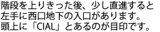 階段を上り切った後、少し直進すると左手に西口地下の入口があります。階段とエスカレータの間の道を進み、階段を下る